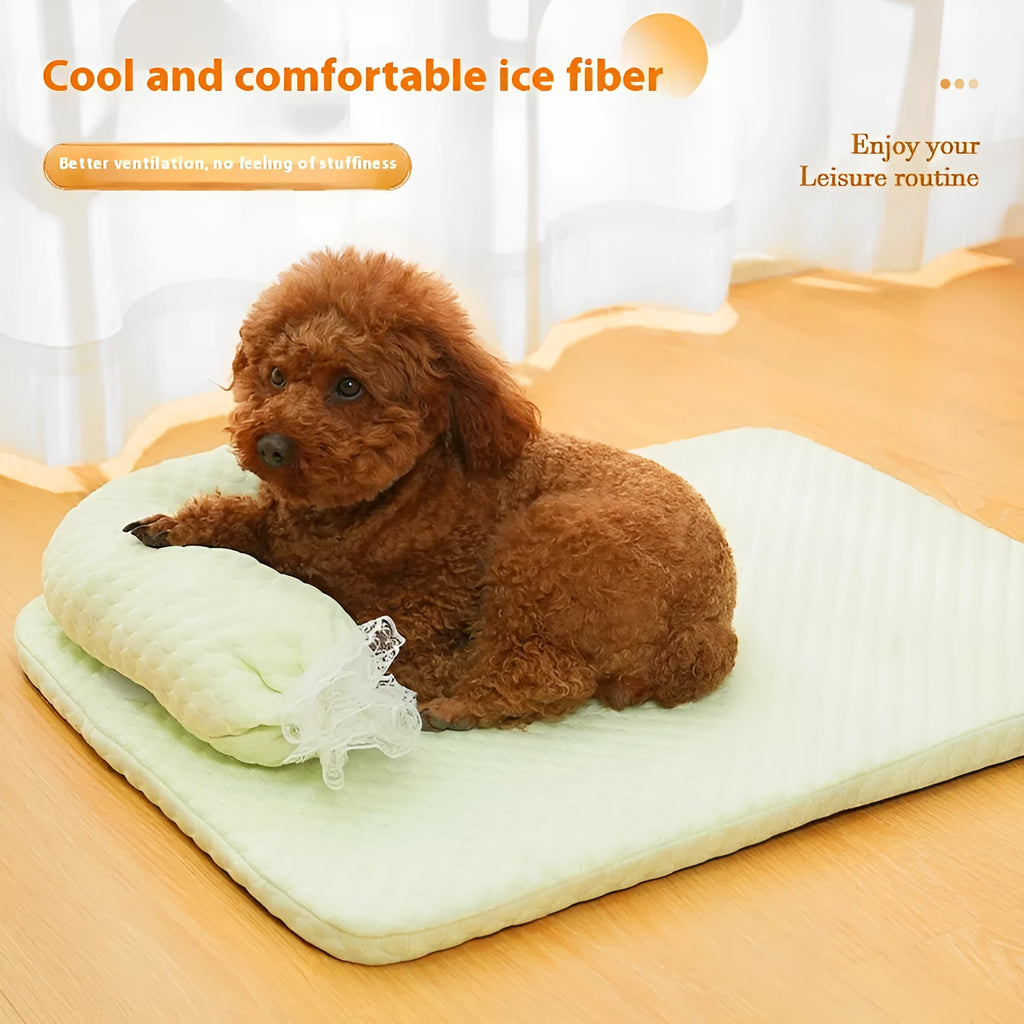 Candy color dog mat in blue candy pad style for small to large dogs up to 40kg