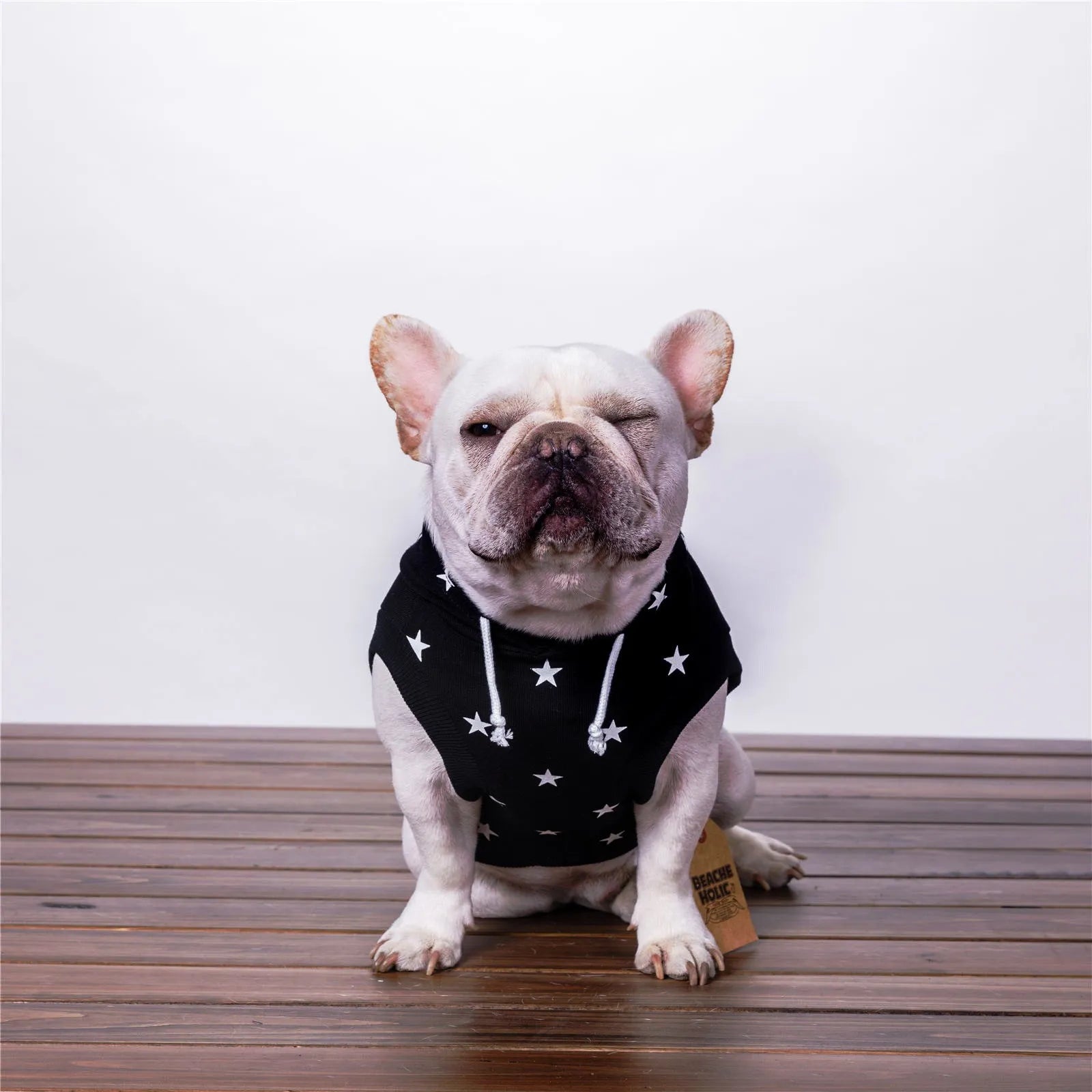Printed black cotton pet clothes casual sweater for dogs and cats