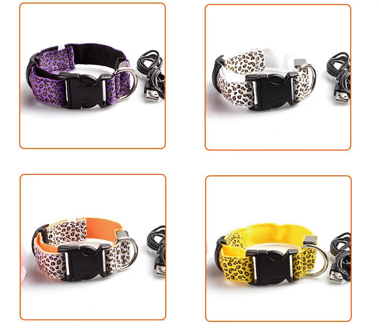 Rechargeable LED dog collar made of nylon webbing with USB charging available in multiple colours and sizes for small to large dogs