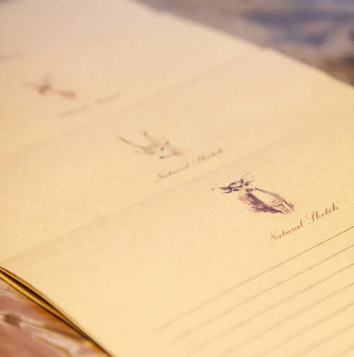 Fawn Kraft Stationery set of 10 sheets, 26 x 18.7cm, four colour options on display