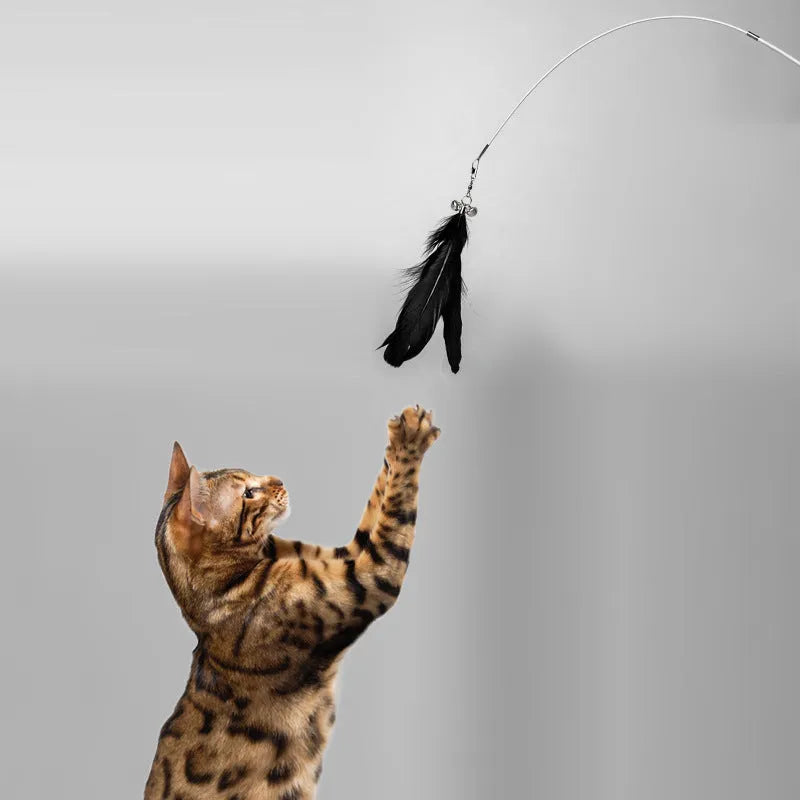 Telescopic cat fishing rod toy extended to 80cm with goose feather end and removable pen attachment
