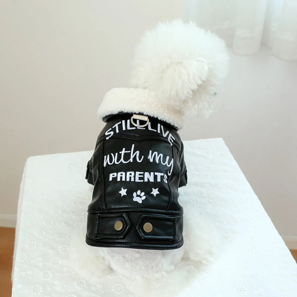 Fleece-lined padded dog winter coat in beige, black or suede colours with size chart showing measurements