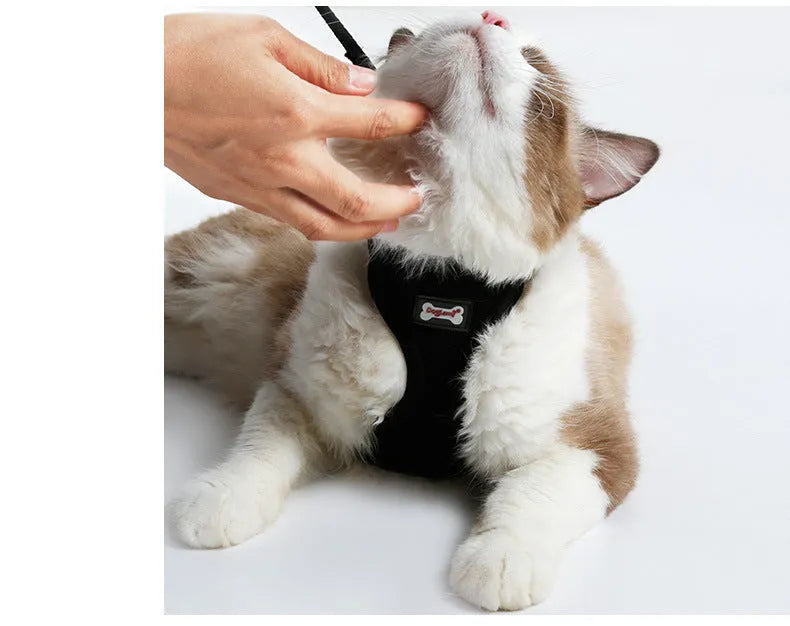 Anti-skidding mesh cat harness in Black with adjustable chest 28-38cm and 120cm leash on cat