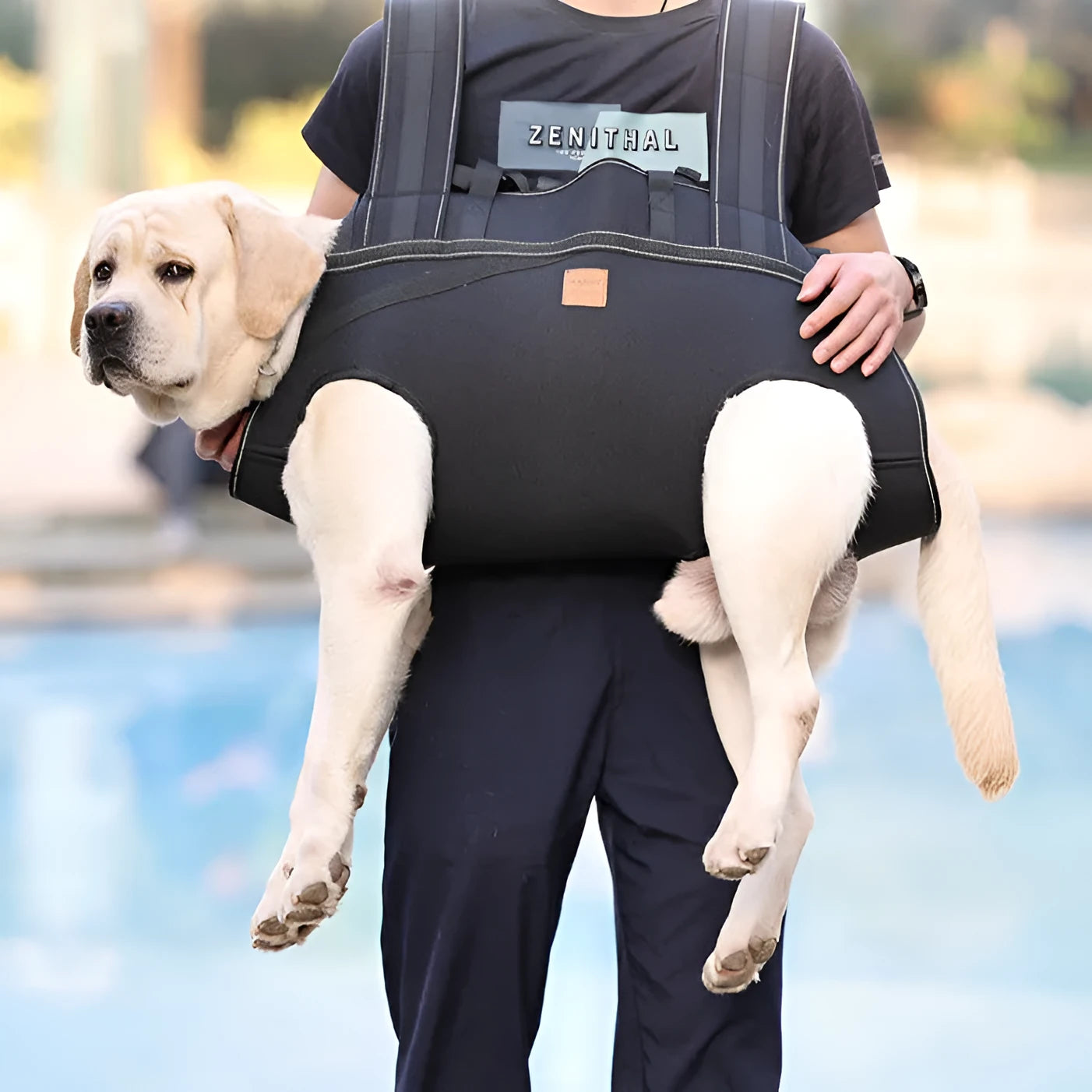 Black Oxford cloth dog backpack in XL, 2XL, 3XL sizes for medium large dogs