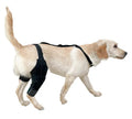 Neoprene dog hind leg knee brace assist strap in various colours and sizes