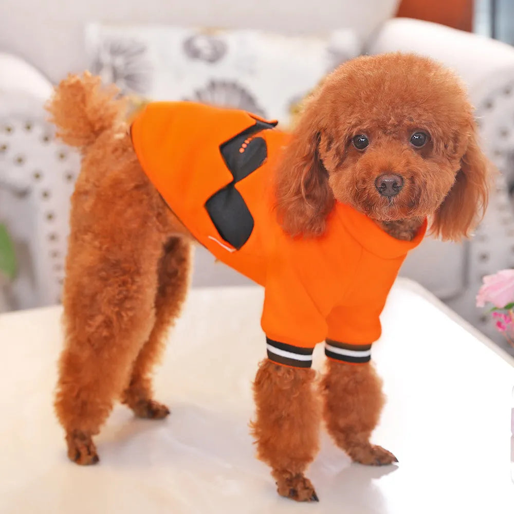 Orange cloth pumpkin costume sweater for dogs in six sizes from XS to XXL on a light background