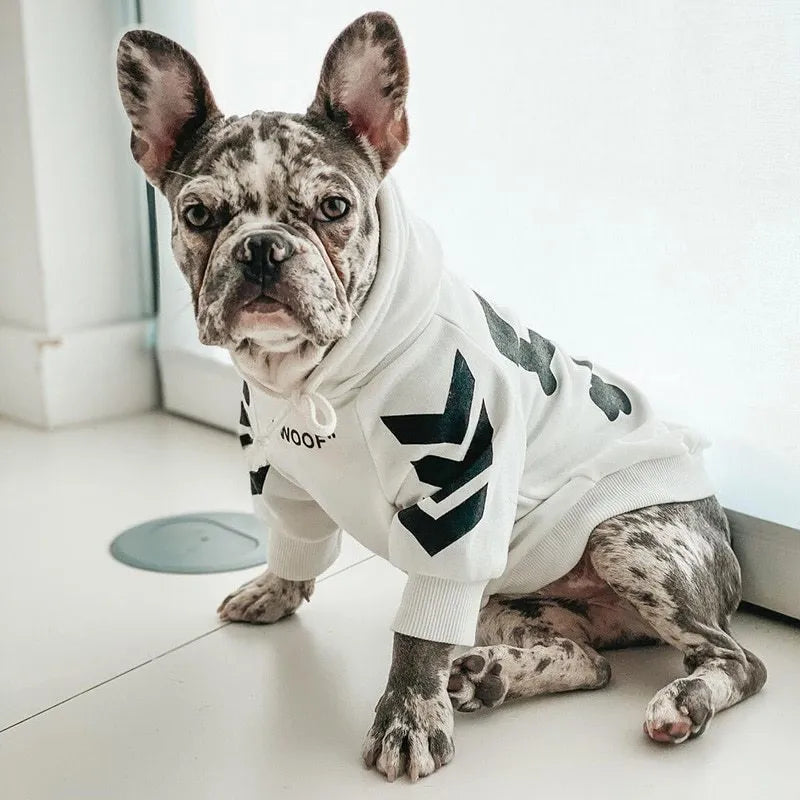 Winter dog jacket with hood, casual pet coat in black, side view on a dog