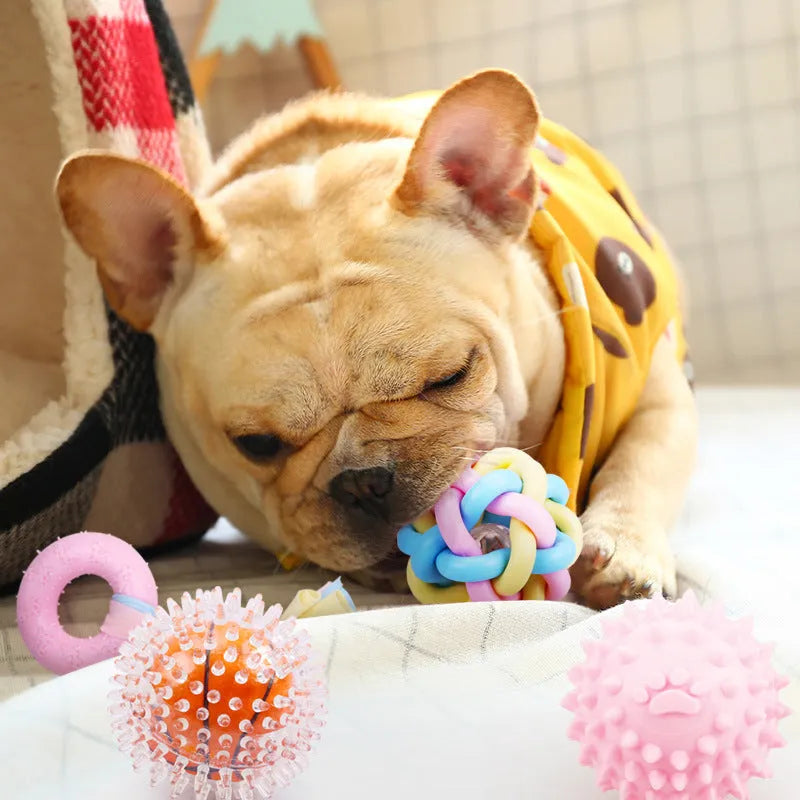Non-toxic rubber dog training toy in star shape with teeth-cleaning surface design, available in pink blue and yellow