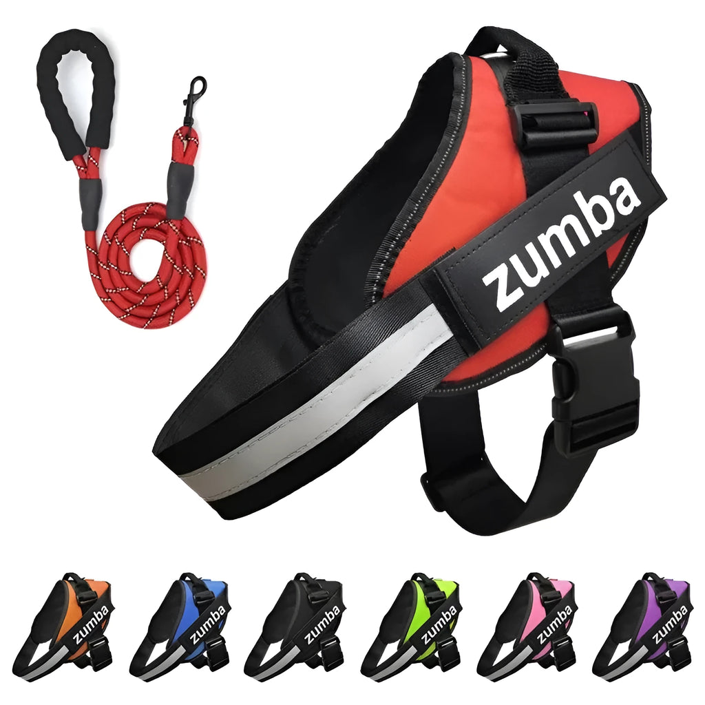 Reflective adjustable nylon dog harness and leash set in six sizes XS to XXL, seven colours available