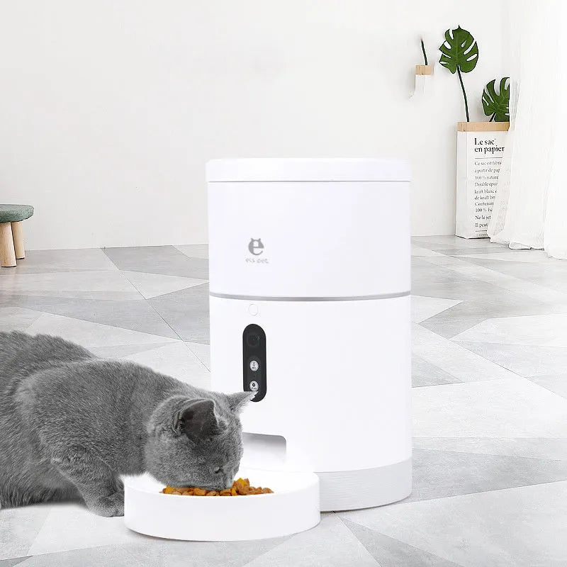 Automatic pet feeder with ABS body, WiFi and video versions, dispensing dry food into bowl