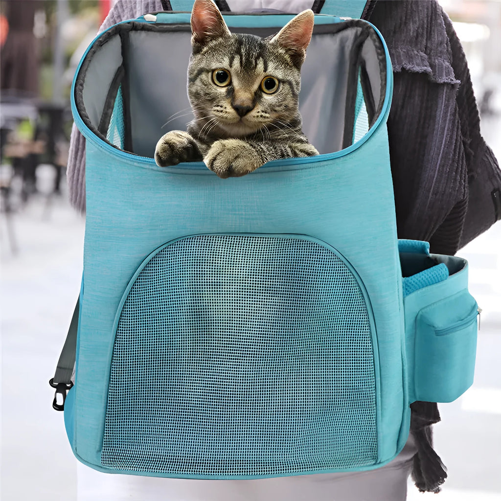 Blue foldable nylon pet backpack for cats and small dogs, size L, sitting on a flat surface