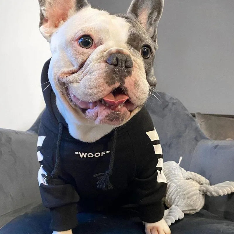 Winter dog jacket with hood, casual pet coat in black, side view on a dog