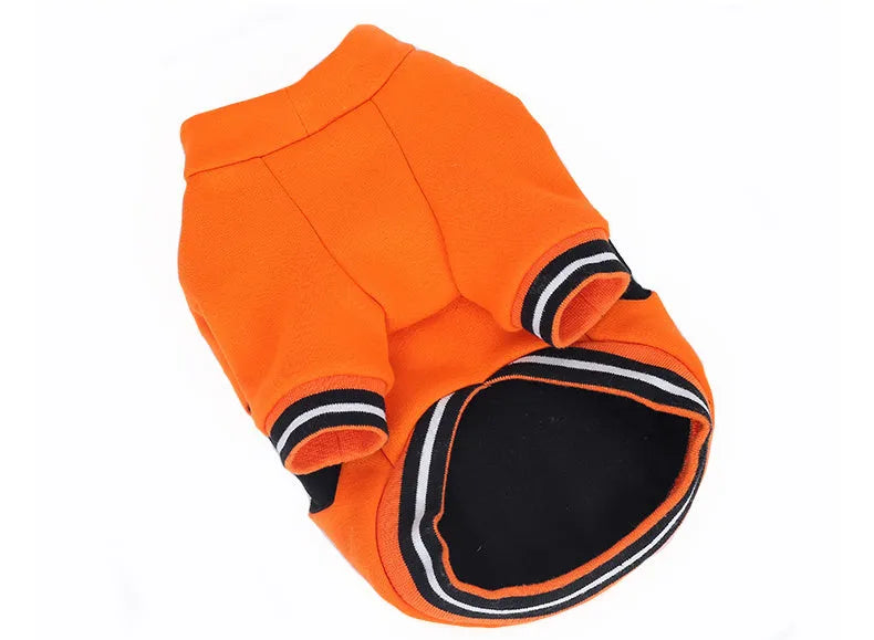Orange cloth pumpkin costume sweater for dogs in six sizes from XS to XXL on a light background