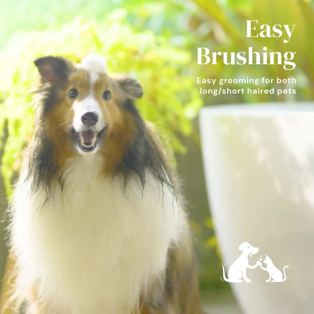 Self-cleaning pet grooming slicker brush with blue handle and stainless steel bristles