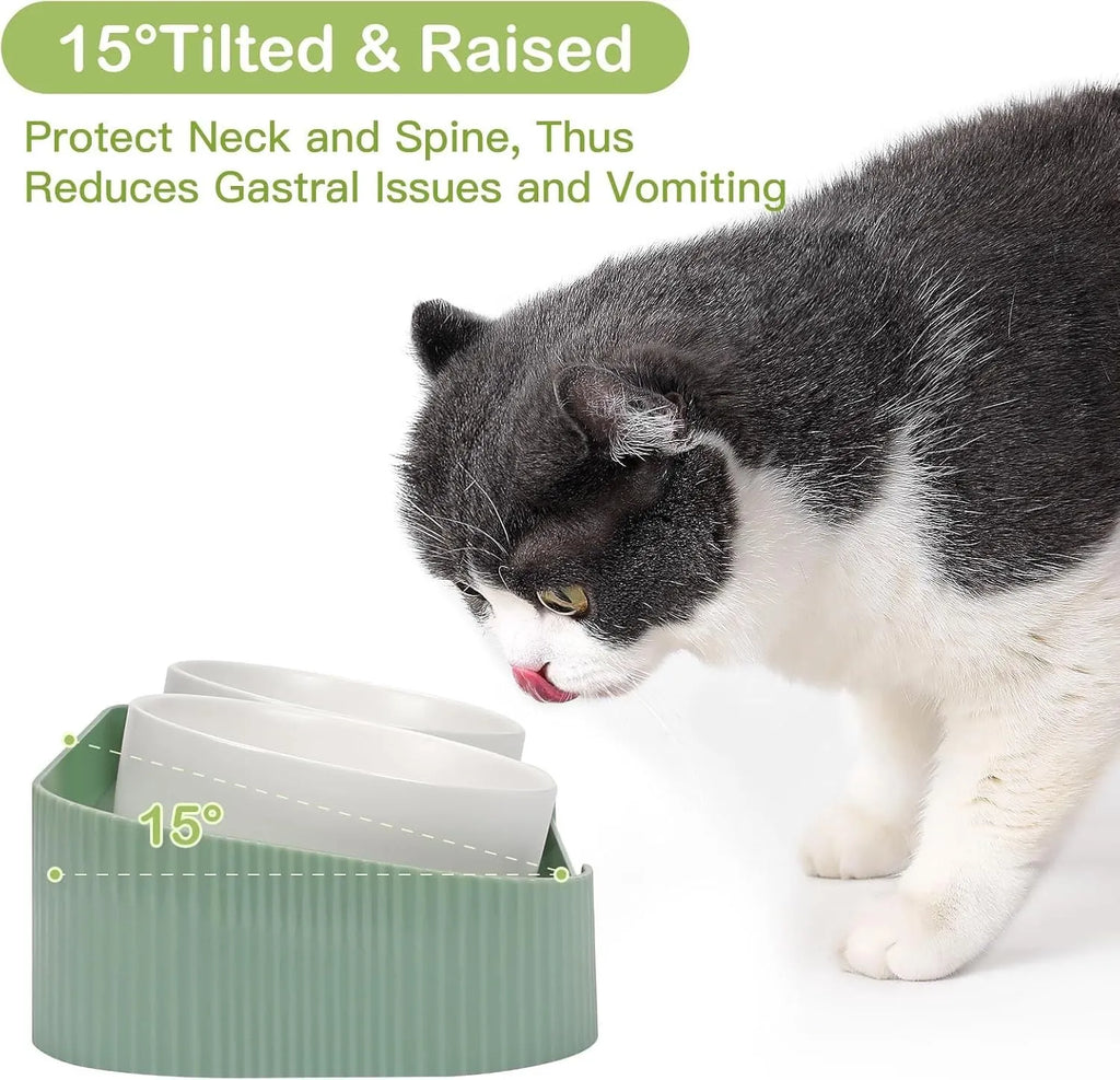 Green ceramic elevated cat feeder with two tilted bowls on a non-slip stand