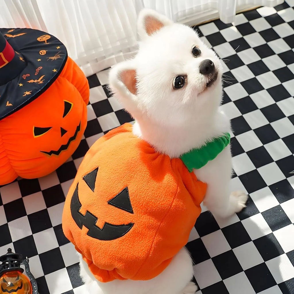 Orange pumpkin plush Halloween costume for small to medium dogs with pullover design