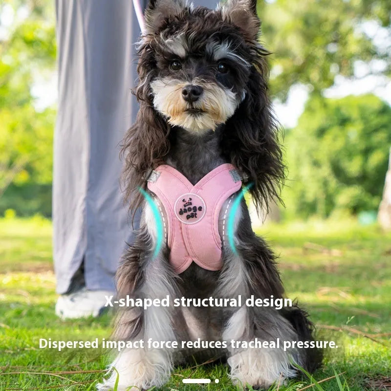 Blue polyester dog vest with an attached hand-holding rope for training.