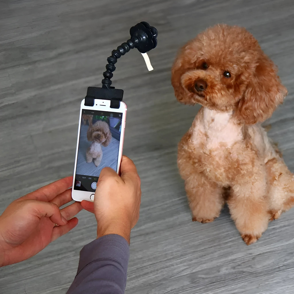 Pet selfie stick with removable square and flower clips in black or white colours