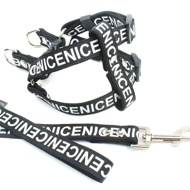 Black polyester traction dog collar with hand-holding rope on a light background