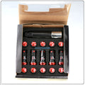 20-piece anti-theft screw and nut set for automobile wheel hub in blue and red