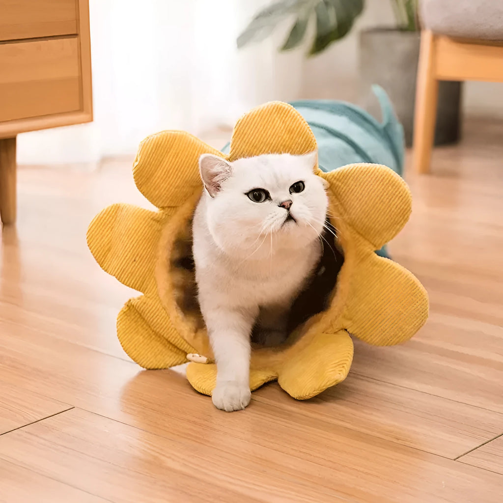 Creative fruit funny pet cat tunnel toy with soft cloth in green cucumber colour featuring 4 belts and hooks