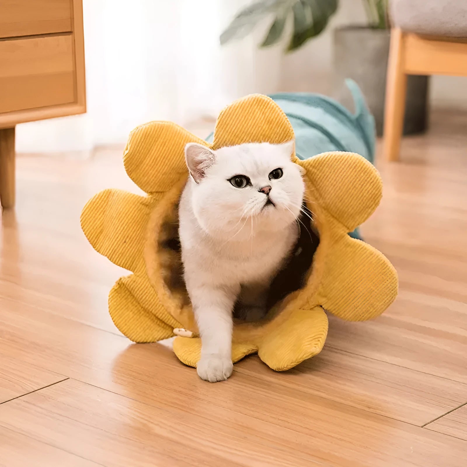 Creative fruit funny pet cat tunnel toy with soft cloth in green cucumber colour featuring 4 belts and hooks