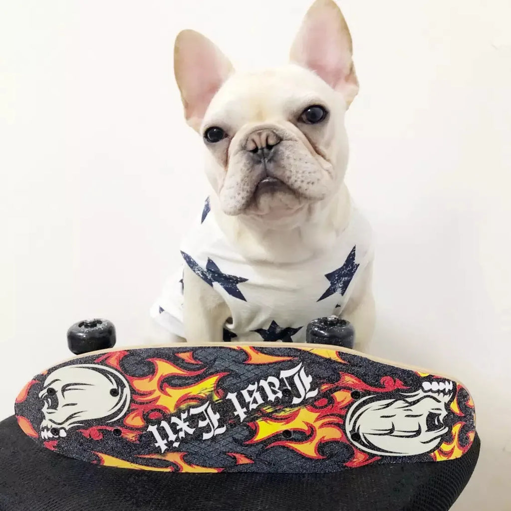 Dark blue cotton dog vest on a small dog with breathable fabric and slip-on design