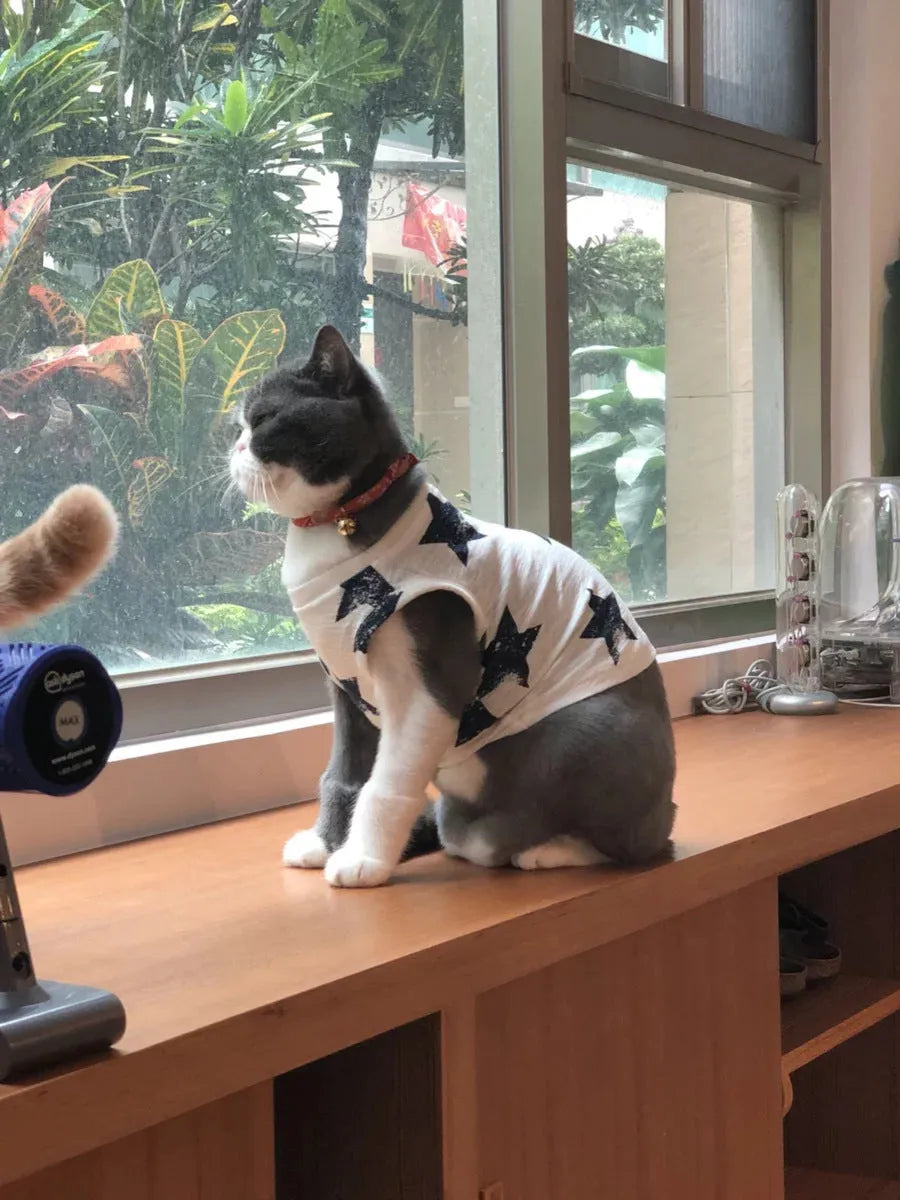 Dark blue cotton dog vest on a small dog with breathable fabric and slip-on design