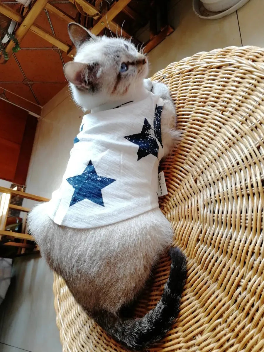 Dark blue cotton dog vest on a small dog with breathable fabric and slip-on design