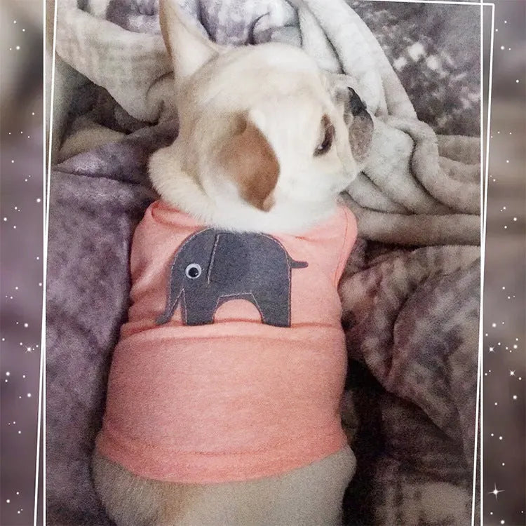 Dark blue cotton dog vest on a small dog with breathable fabric and slip-on design
