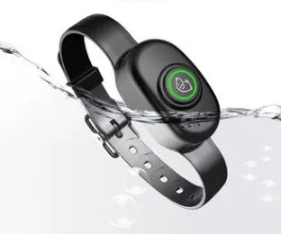 Black rechargeable remote-controlled dog training collar with handheld transmitter.