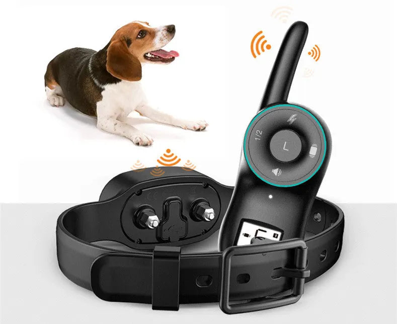 Black rechargeable remote-controlled dog training collar with handheld transmitter.