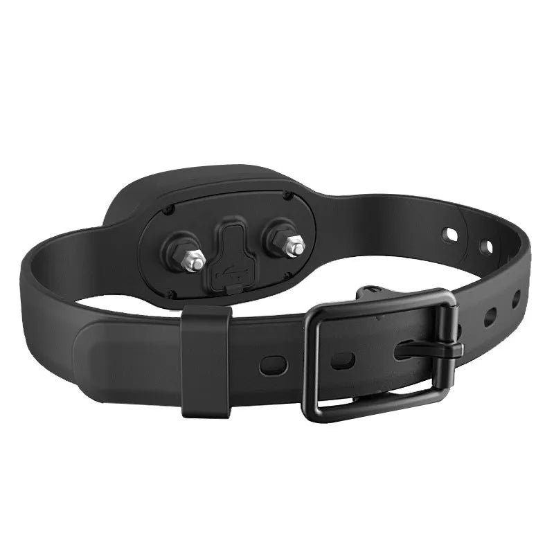 Black rechargeable remote-controlled dog training collar with handheld transmitter.