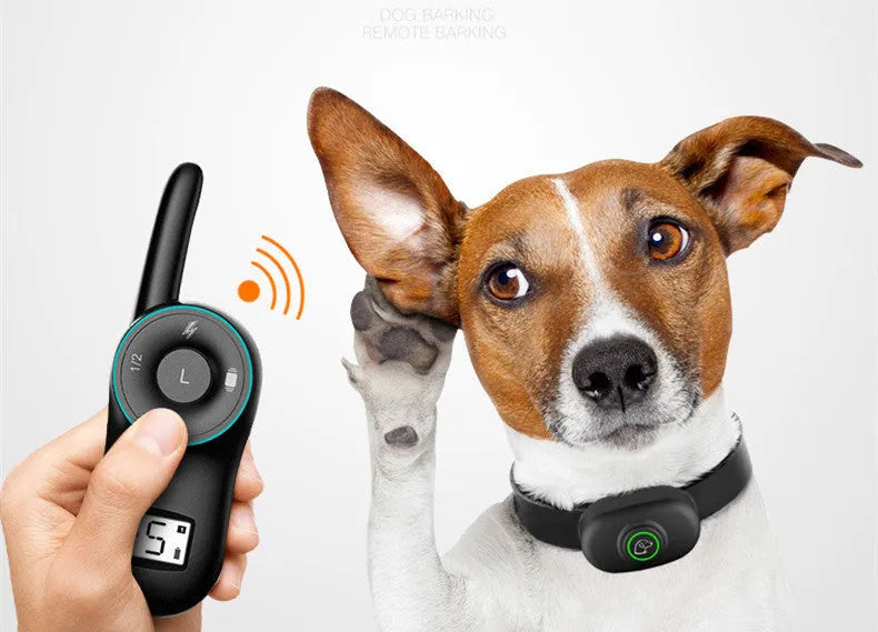 Black rechargeable remote-controlled dog training collar with handheld transmitter.