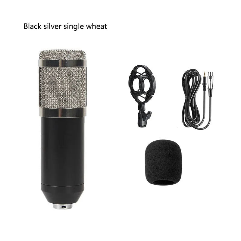 Bm800 condenser microphone kit with shock mount bracket, large pop filter, and foam windscreen on a desk.