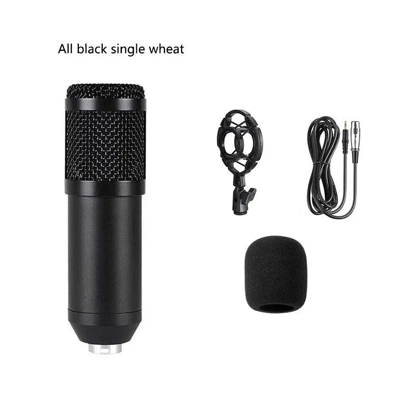 Bm800 condenser microphone kit with shock mount bracket, large pop filter, and foam windscreen on a desk.