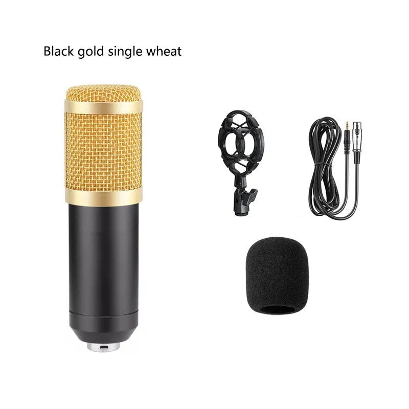 Bm800 condenser microphone kit with shock mount bracket, large pop filter, and foam windscreen on a desk.