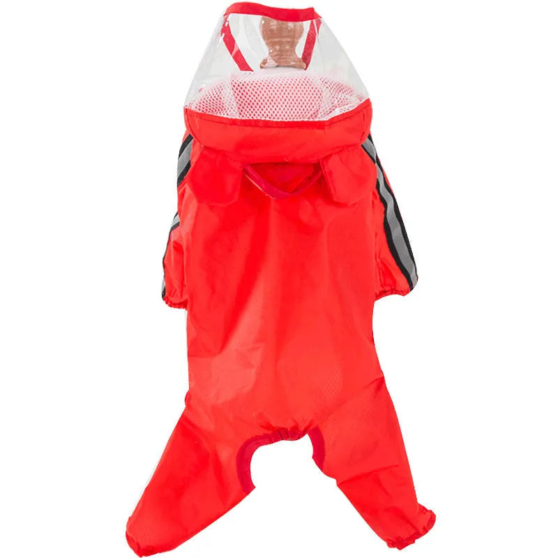 Small dog wearing a yellow bear upgrade polyester taffeta raincoat, standing on grass, a practical two-legged casual style for autumn walks