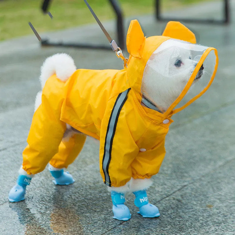 Small dog wearing a yellow bear upgrade polyester taffeta raincoat, standing on grass, a practical two-legged casual style for autumn walks