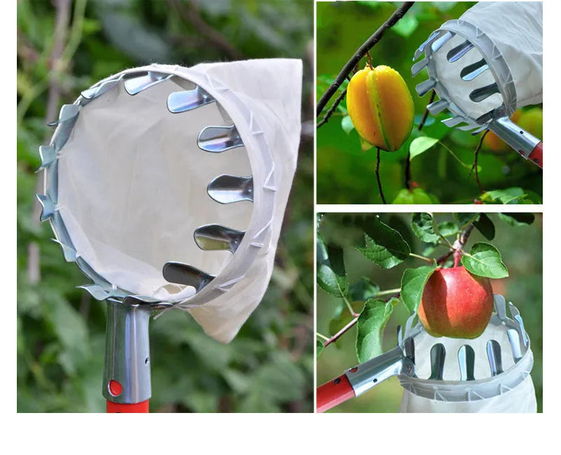 Steel frame fruit picker garden tool with cloth bag catcher for harvesting tree fruits