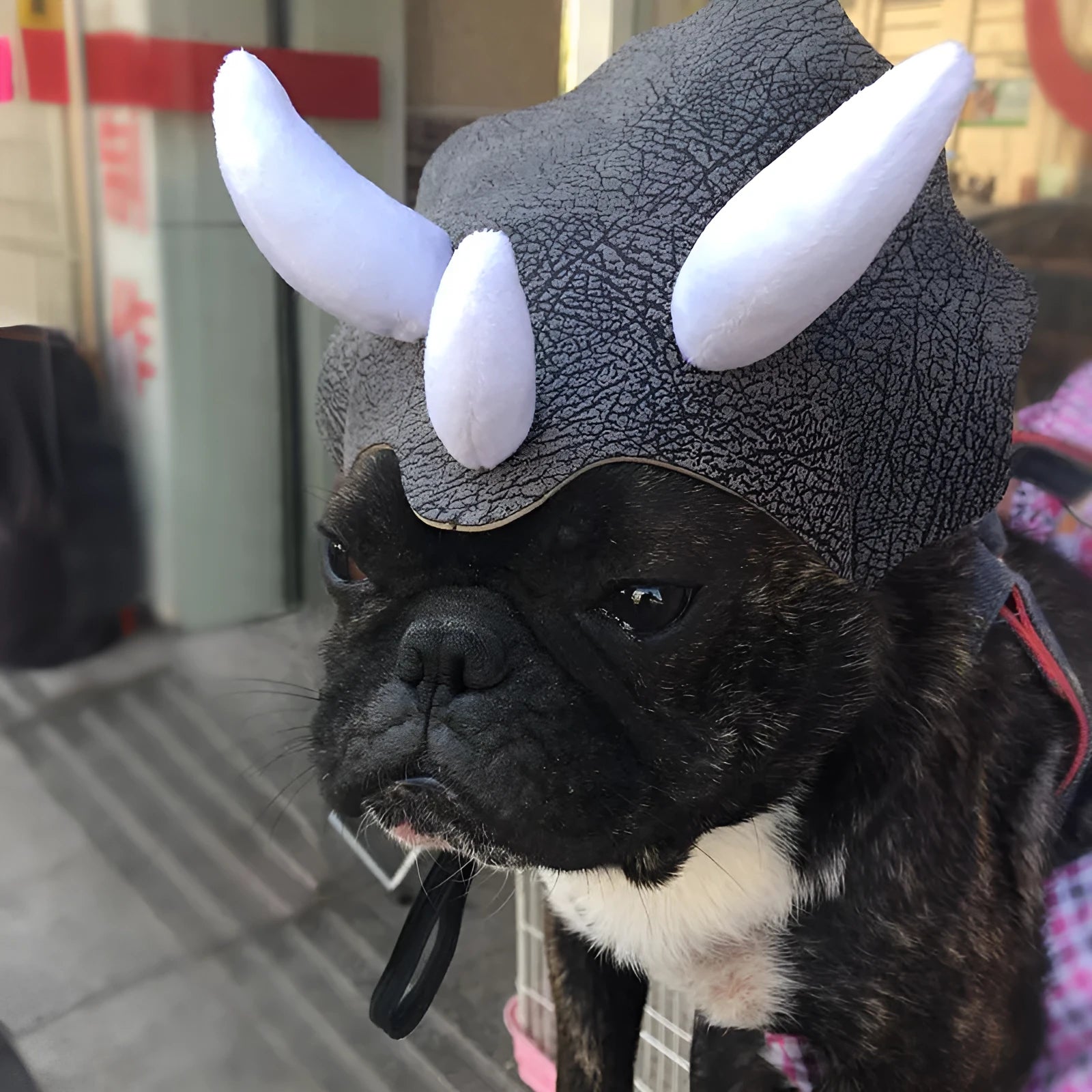 Grey cloth pet triceratops dinosaur hat for dogs and cats, one size.