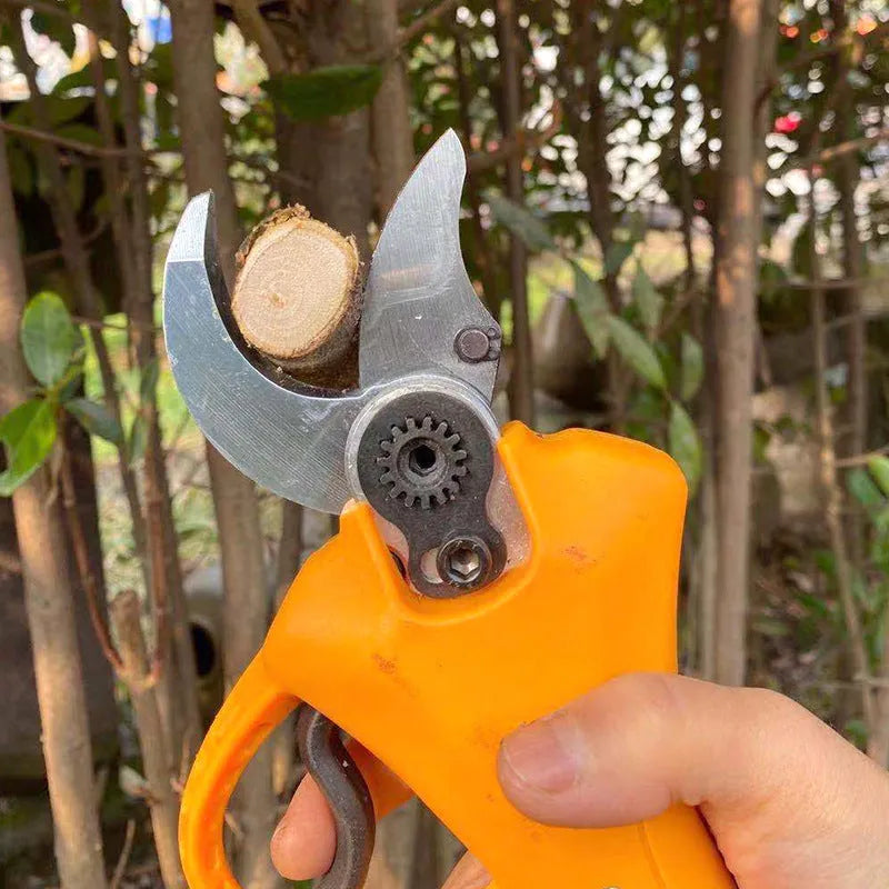Double Silver electric branch shears with lithium batteries for fruit tree pruning