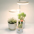 Compact white LED plant growth lamp with adjustable heads on a wooden desk next to a green houseplant.