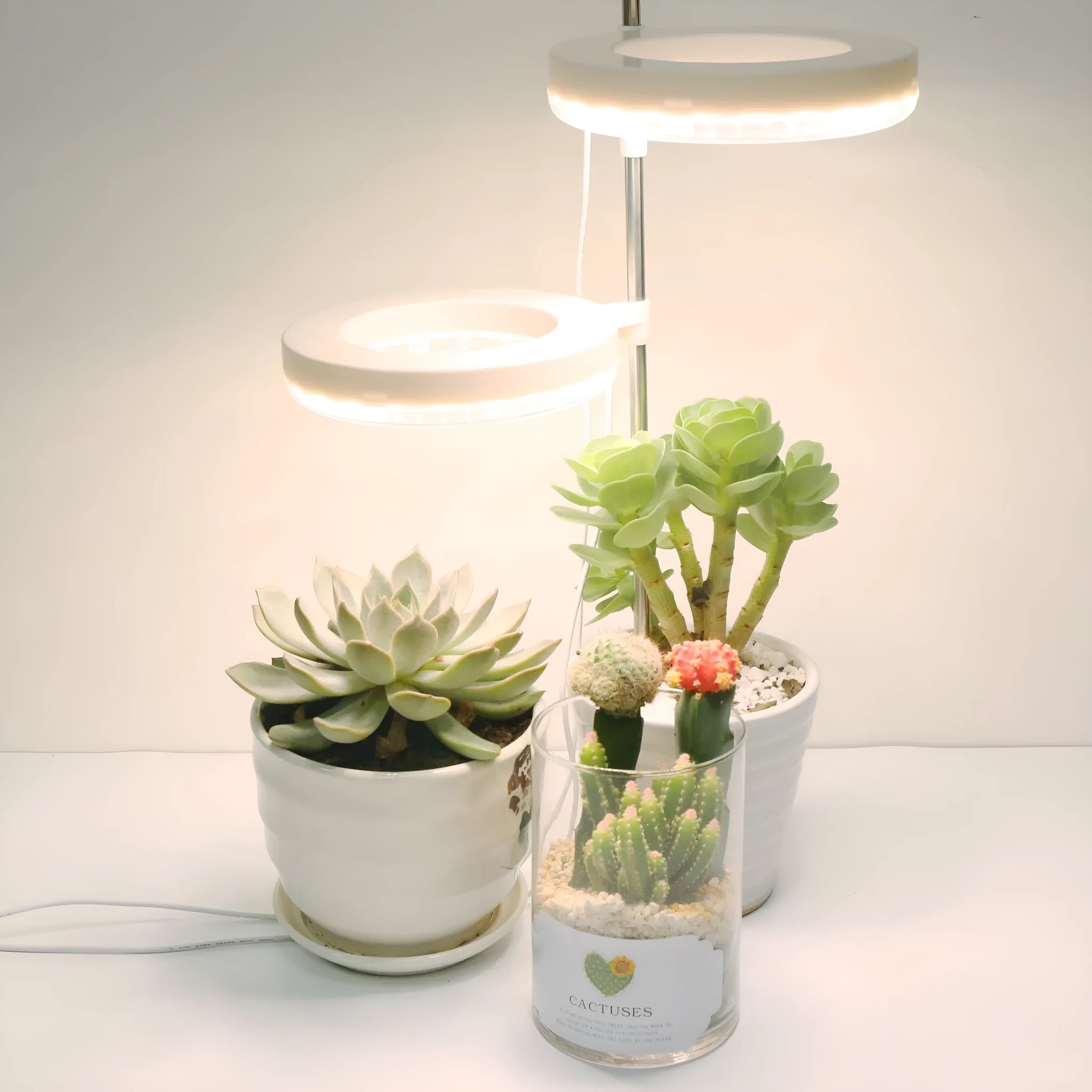 Compact white LED plant growth lamp with adjustable heads on a wooden desk next to a green houseplant.