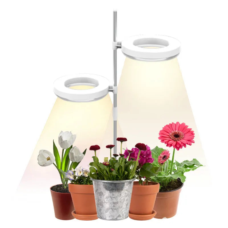 Compact white LED plant growth lamp with adjustable heads on a wooden desk next to a green houseplant.