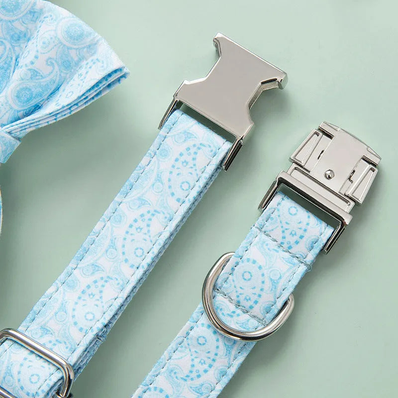 Zinc alloy buckle lettering dog collar in Paisley pattern on a medium-sized dog
