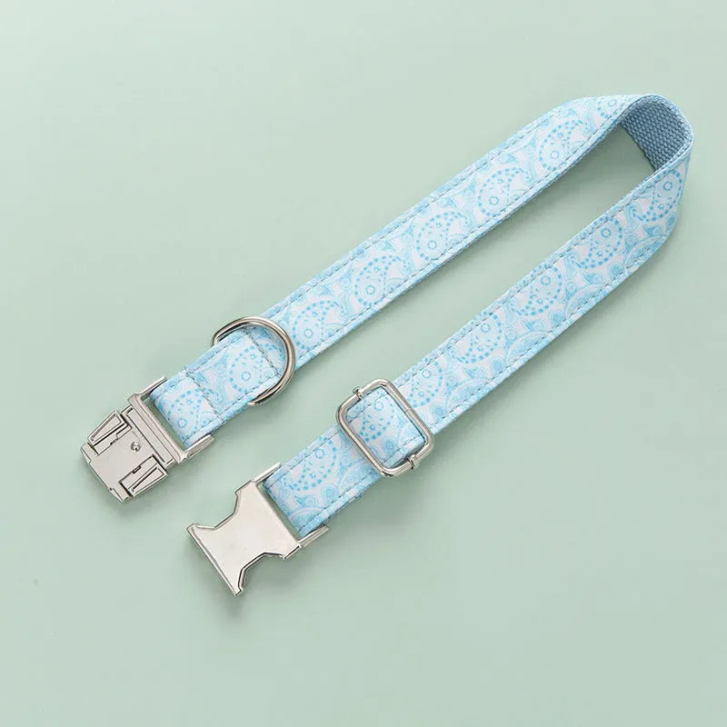Zinc alloy buckle lettering dog collar in Paisley pattern on a medium-sized dog