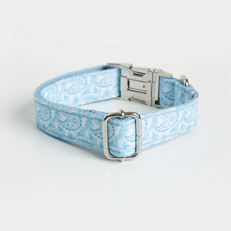 Zinc alloy buckle lettering dog collar in Paisley pattern on a medium-sized dog