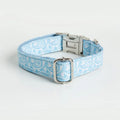 Zinc alloy buckle lettering dog collar in Paisley pattern on a medium-sized dog