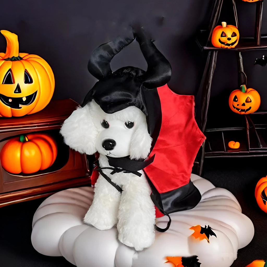 Red bat wing cloak and pointed hat Halloween costume set on a small dog.